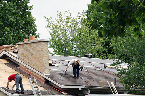 Best Roof Gutter Cleaning  in Fayetteville, GA