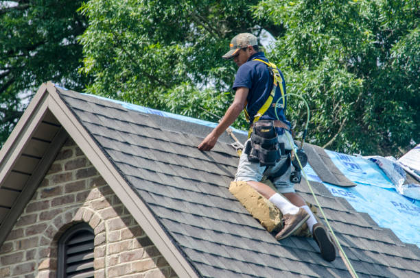 Best Gutter Installation and Roofing  in Fayetteville, GA